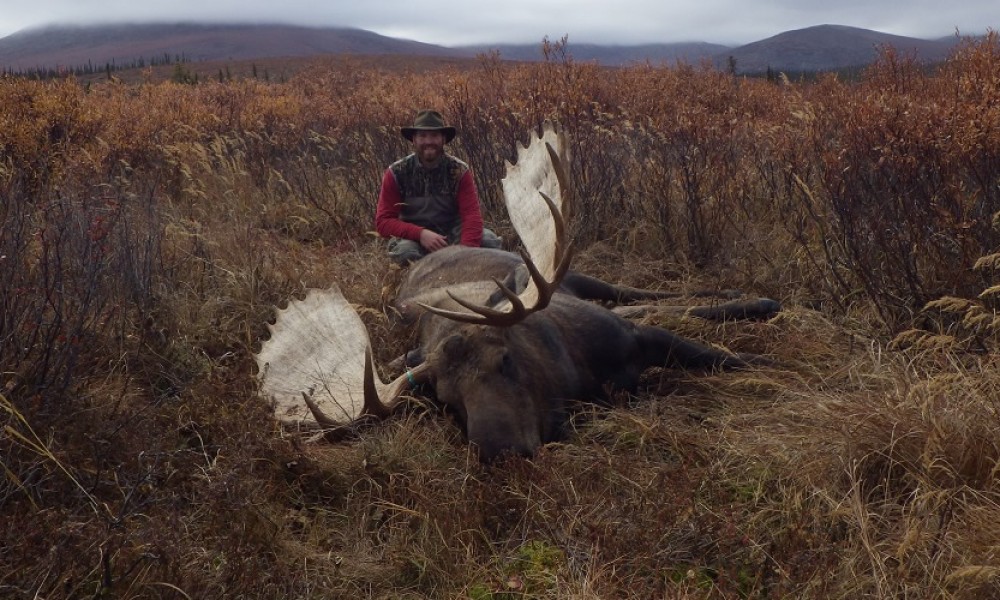 Brooks Range, Self Guided Trophy Moose Hunts
