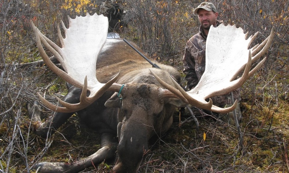 Brooks Range, Self Guided Trophy Moose Hunts Arrowhead Outfiiters LLC